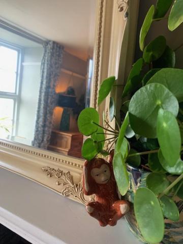 Dolgellau Townhouse 2 Minutes To Town & Mountains别墅 外观 照片
